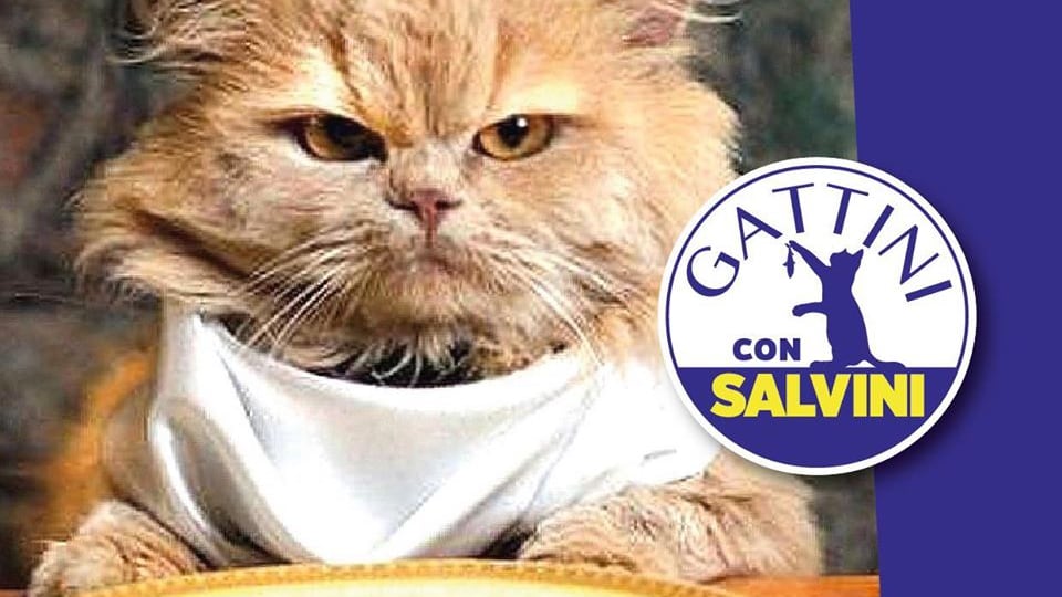 La sinistra schiera le "sardine"? Salvini risponde con i "gattini"