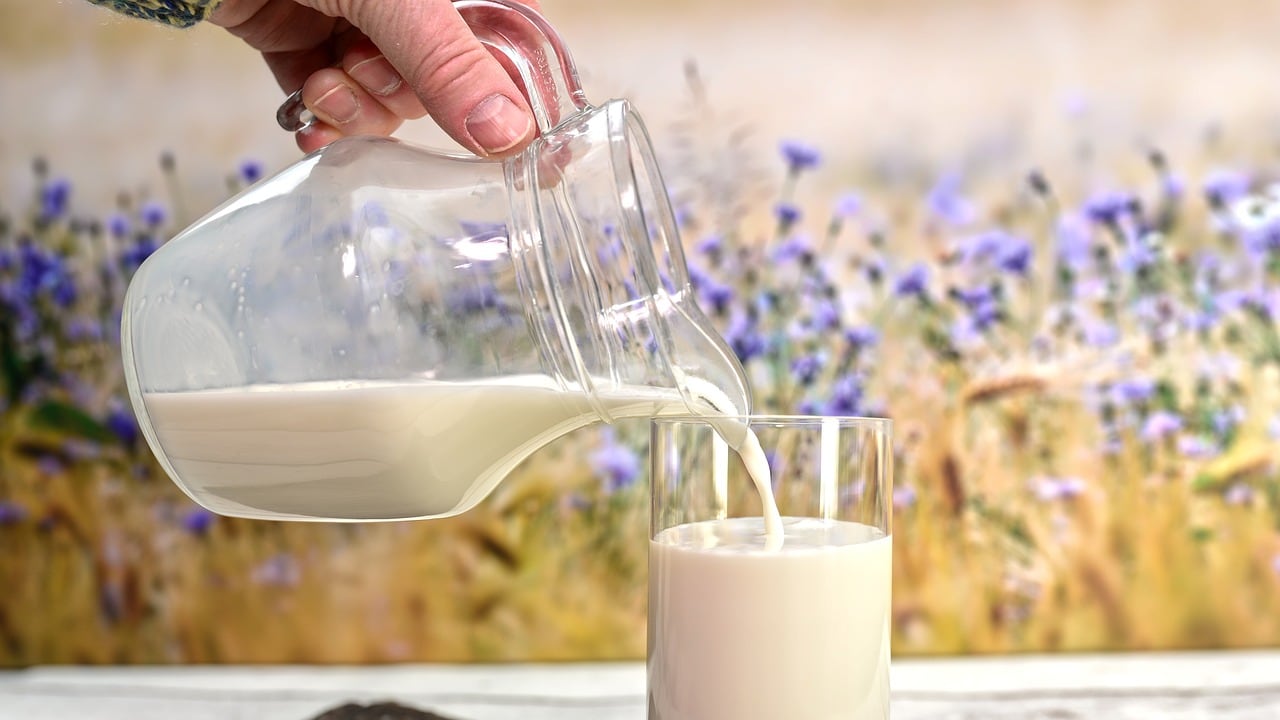 Infarti e cardiopatie ischemiche: gli effetti collaterali di chi beve latte. Donne più a rischio