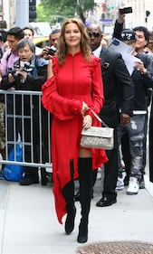Connie Nielsen, il vento alza la gonna sul red carpet 9