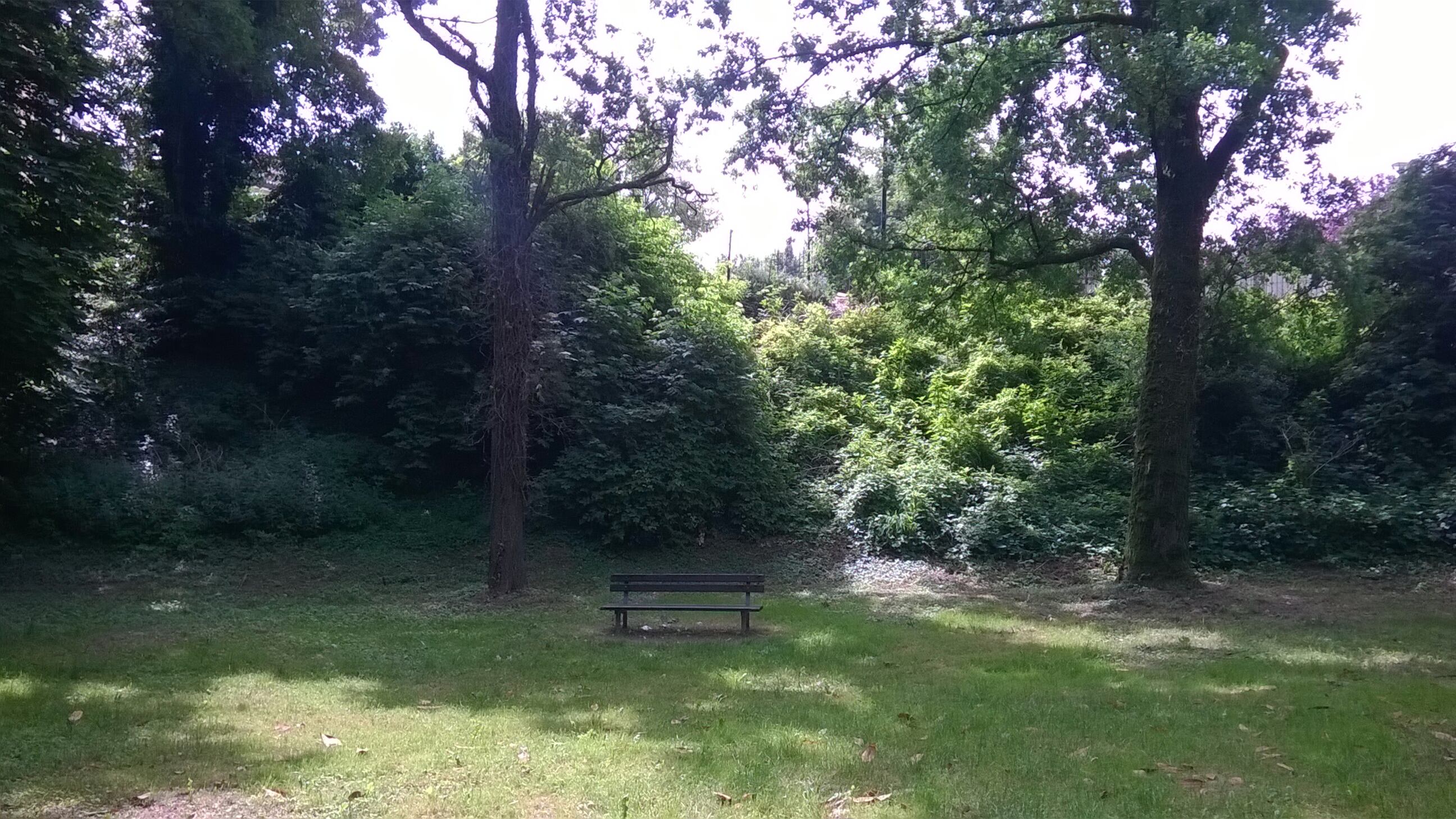 Pratica autoerotismo nel parco davanti a due 15enni: denunciato