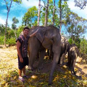 Elefante si fa un selfie 2