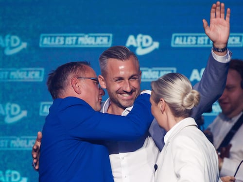 Remigrazione e orgoglio. Tra i sostenitori dell’AfD che sognano più del 45%