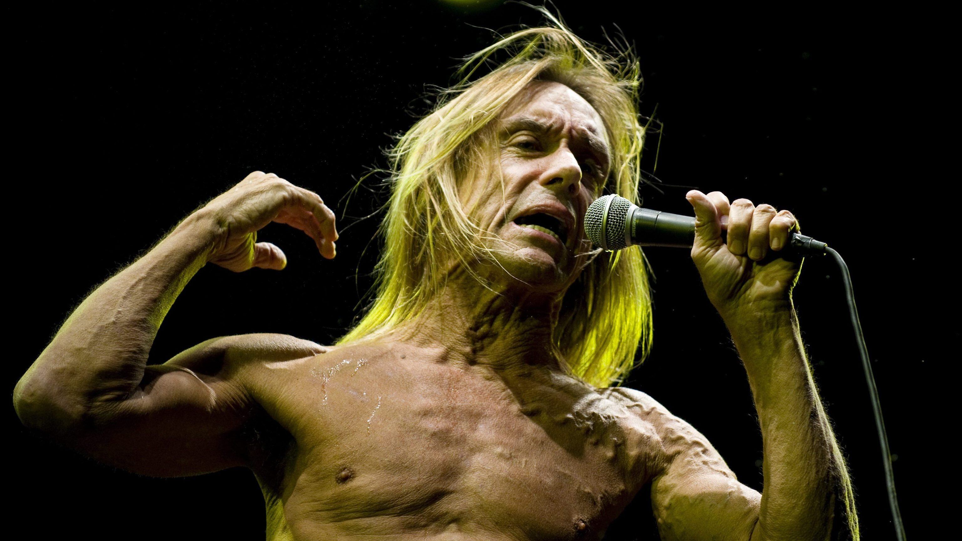 Il punk non invecchia Iggy Pop a 66 anni sfonda il muro del suono