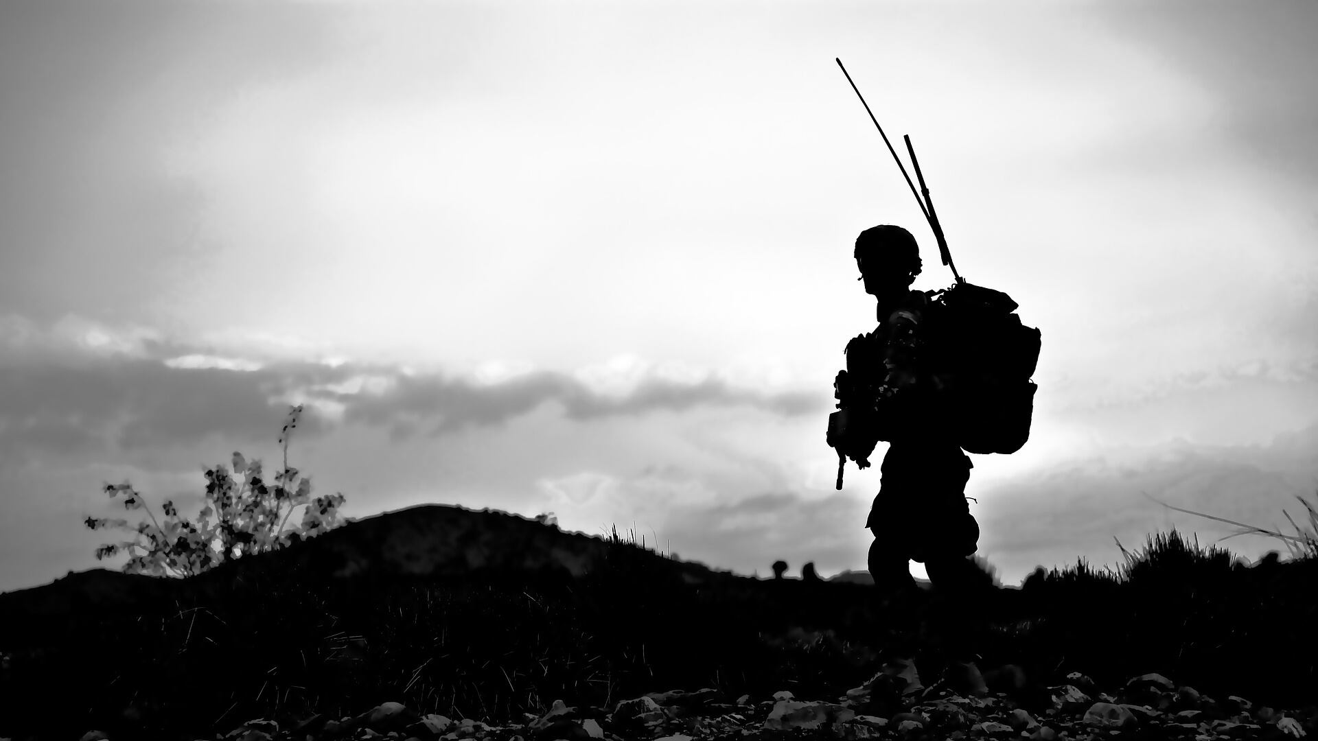 La lunga storia della guerra raccontata senza moralismi