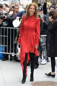 Connie Nielsen, il vento alza la gonna sul red carpet 16