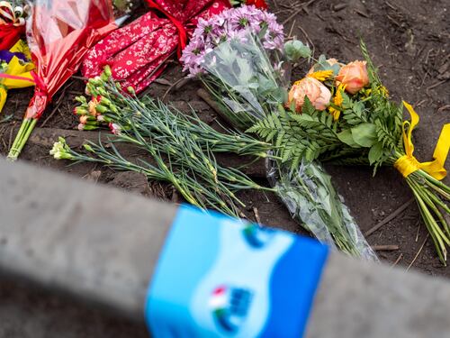 La strage dei giovanissimi: il bambino di 18 mesi, i fratellini senza la mamma