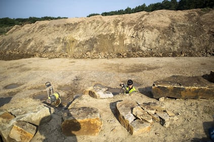 Germania, scoperte impronte giganti di dinosauro 4