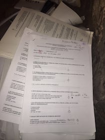 Roma, tesi di laurea buttate nei cassonetti 13