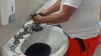 Pulisce le seppie nel bagno dell'ospedale: inchiodato da un video, medico licenziato