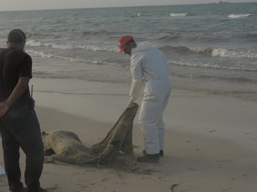 I cadaveri dei migranti sulla spiaggia libica 4