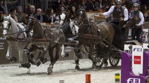 Koos De Ronde, il nuovo re della FEI World Cup TM Driving