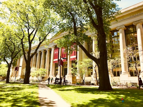 Diritti e soldi, è guerra su Harvard