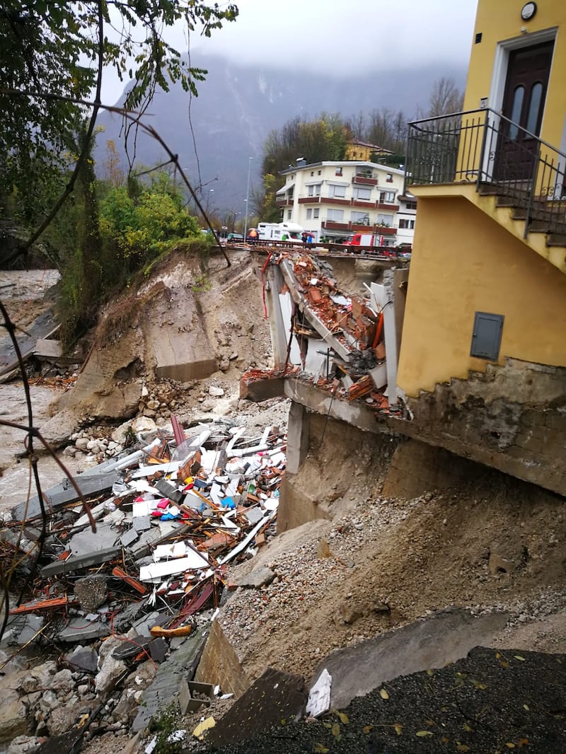 Belluno flagellata  1