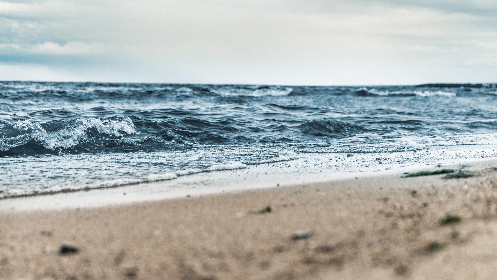 "Dare in gestione le spiagge libere. E stop al degrado!"