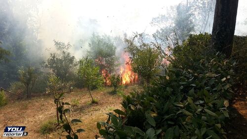 Roma, bruciati più di 50 ettari: evacuati struttura per anziani e convento 1