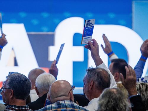 Elezioni in Renania: Cdu prima forza, vola l'Afd. Crolla la sinistra