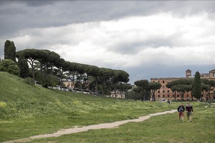 Le meraviglie di Roma: i pini marittimi in città 12