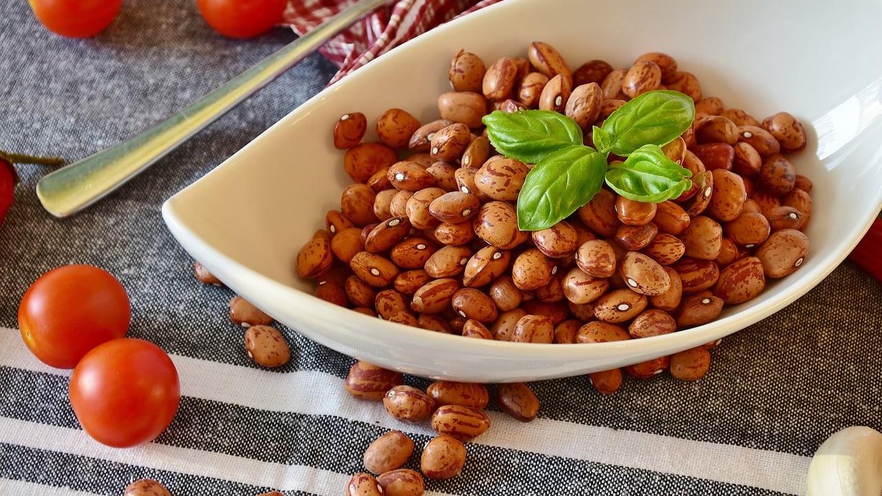 Piatti vegetali e proteine alternative: cosa mangeremo nel 2050