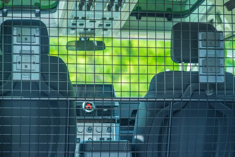 Ineos Grenadier, guarda foto 17