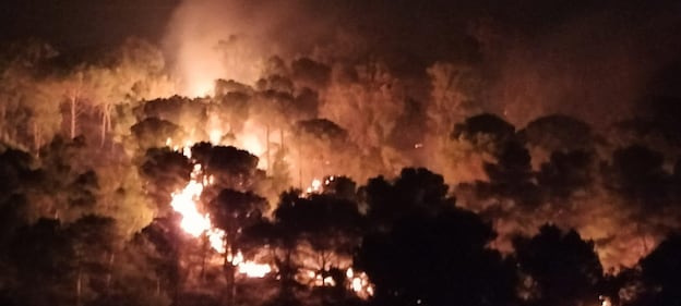 Palermo circondata dal fuoco, chiuso l'aeroporto. I roghi bloccano i soccorsi: muore un'anziana 5