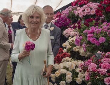 Il Principe Carlo e Camilla Parker Bowles: foto 5
