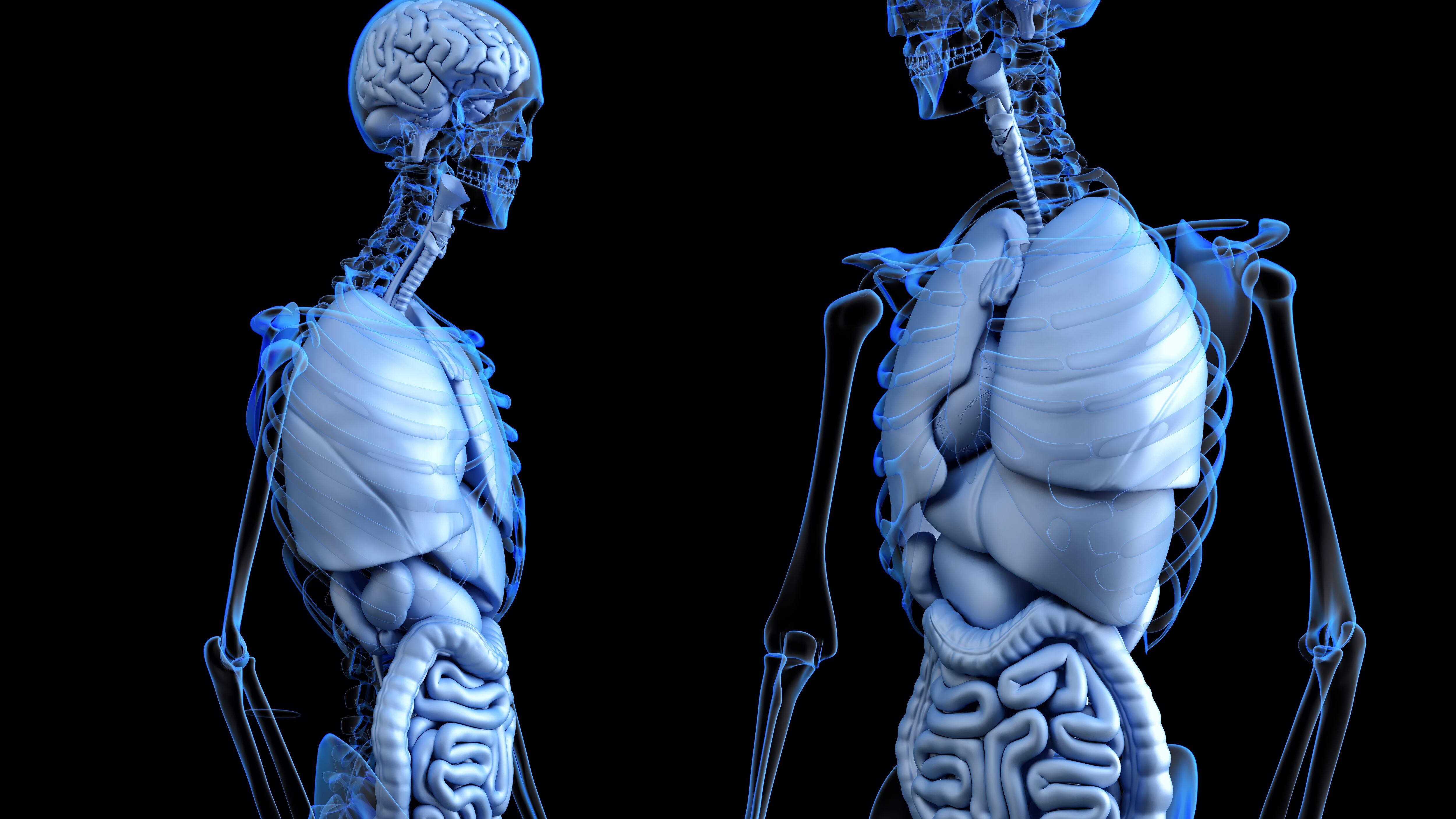 Il Google Body della scienza ci mostra quanto siamo brutti dentro