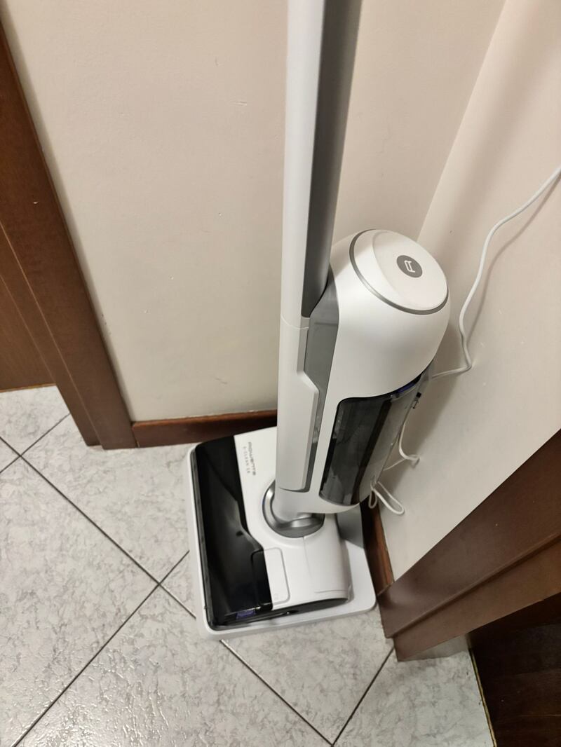 Rowenta X-Clean 10