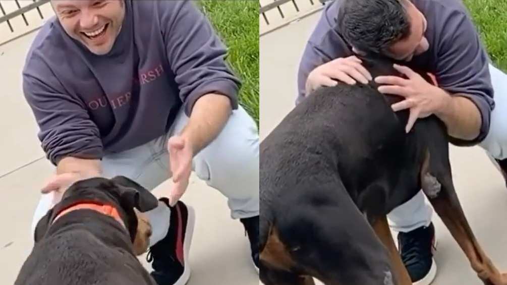 Tiziano Ferro salva due cani dal canile: il video di benvenuto è commovente