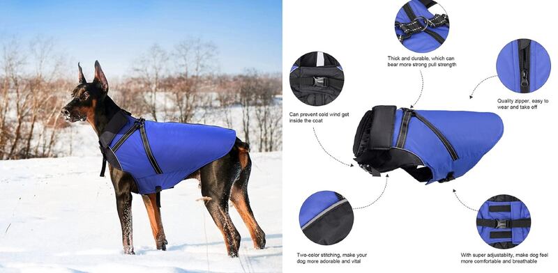 Cappotto per cani