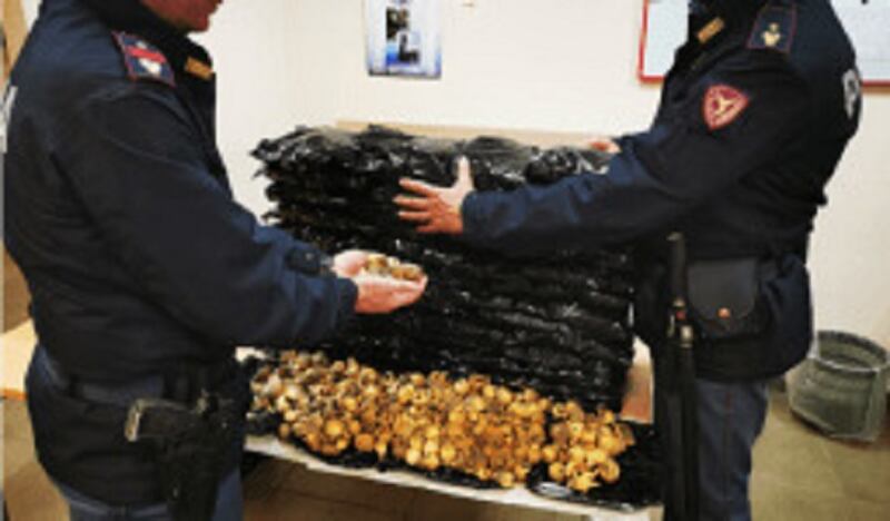 Polizia sequestro oppio 3