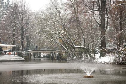 Bologna sotto la neve, le immagini 7