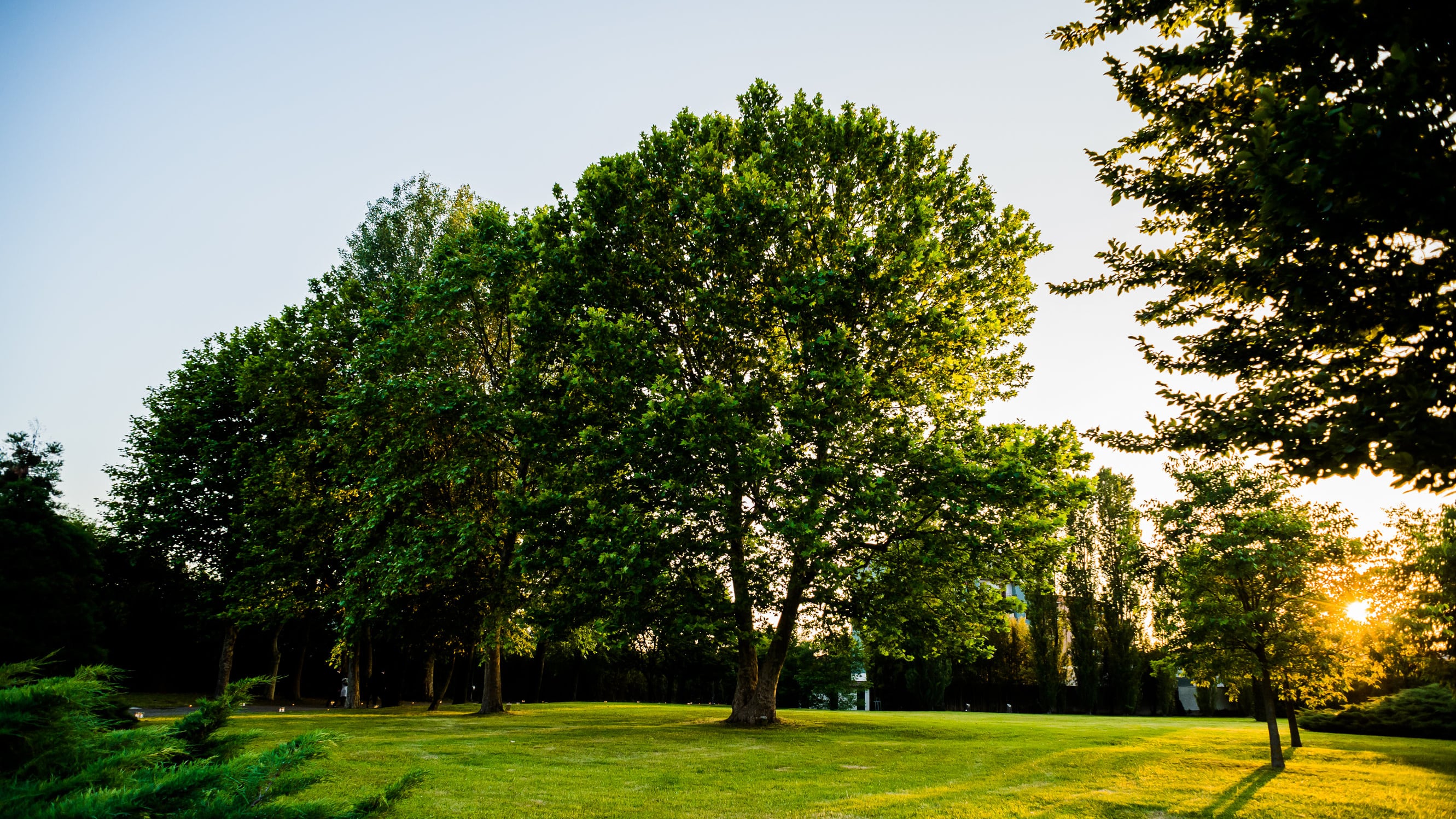 La Festa di Primavera per gli sposi nel suggestivo Spazio Parco Milano