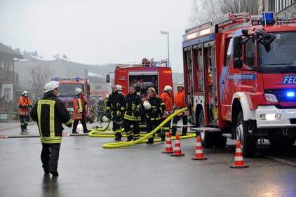 Rogo in fabbrica di disabili 5