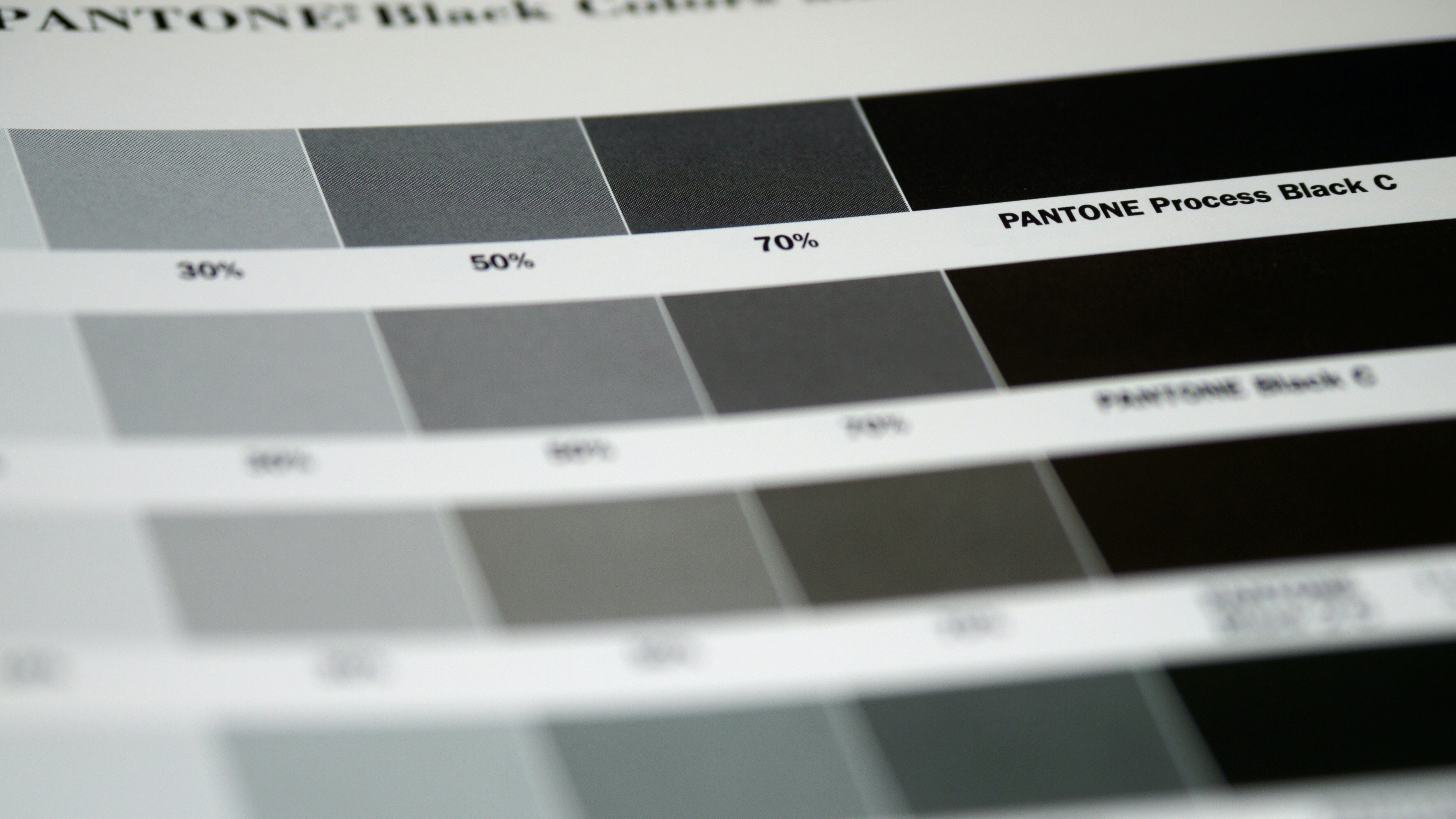 Canna di fucile e resistenza: elogio del bigio