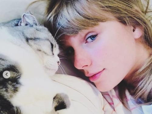 Taylor Swift, le foto più belle