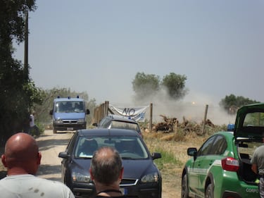 Ulivi abbattuti, il blitz a Oria 2