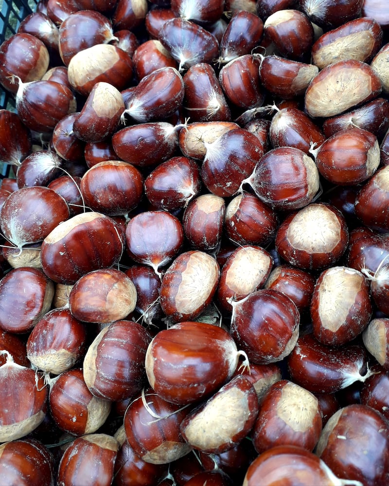 Castagne