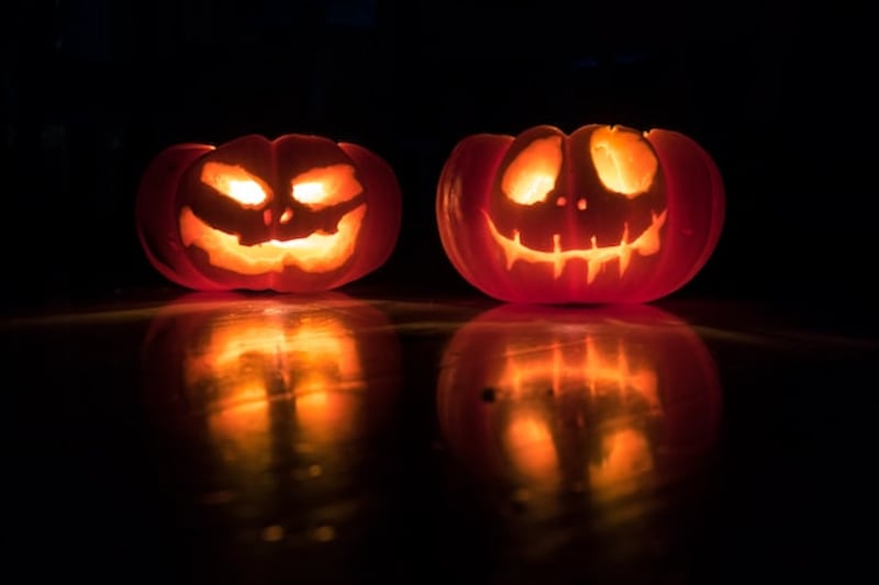 Zucche di Halloween