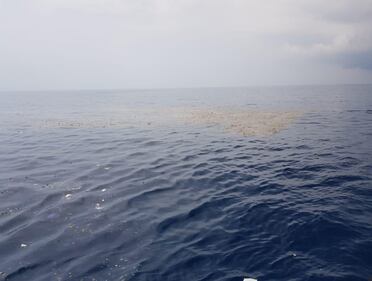 Indonesia, aereo cade in mare: 188 persone sono morte 9