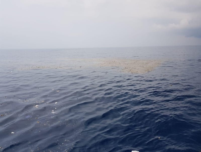 Indonesia, aereo cade in mare: 188 persone sono morte 9
