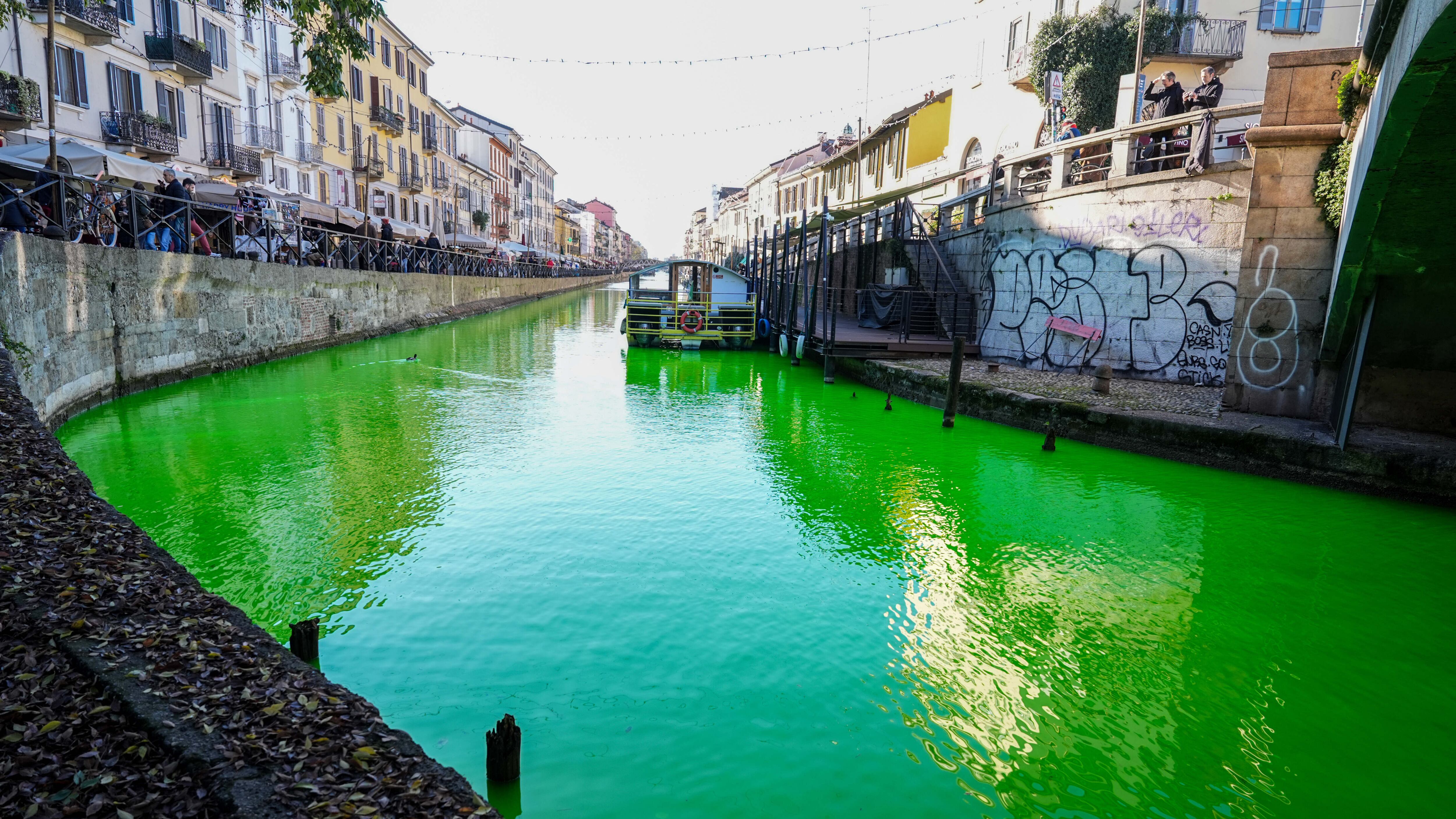 Cop 30, blitz degli ecoattivisti: colorate di verde le acque delle città