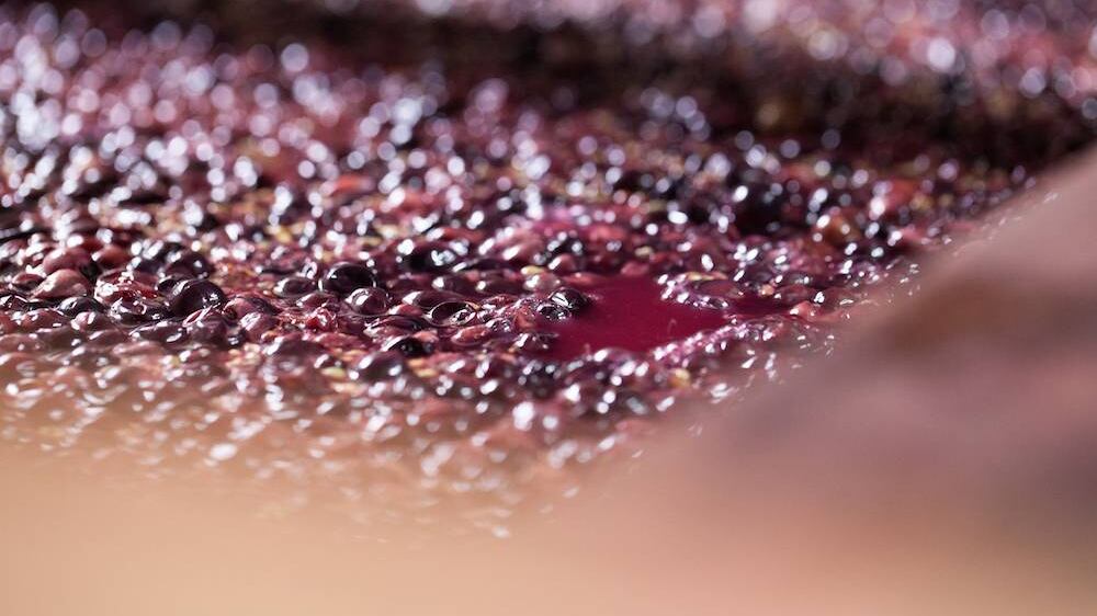 Rosé de Saignée Geoffroy, lo Champagne che sanguina