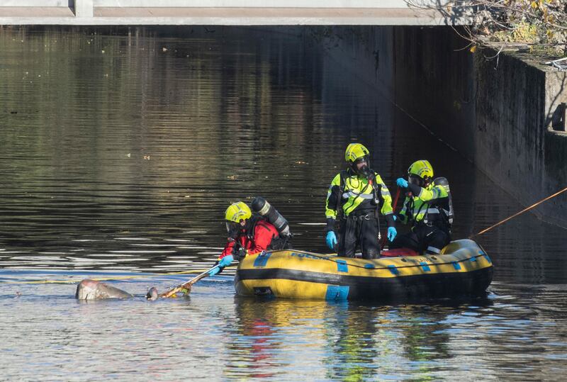 Cadavere nel fiume Lambro