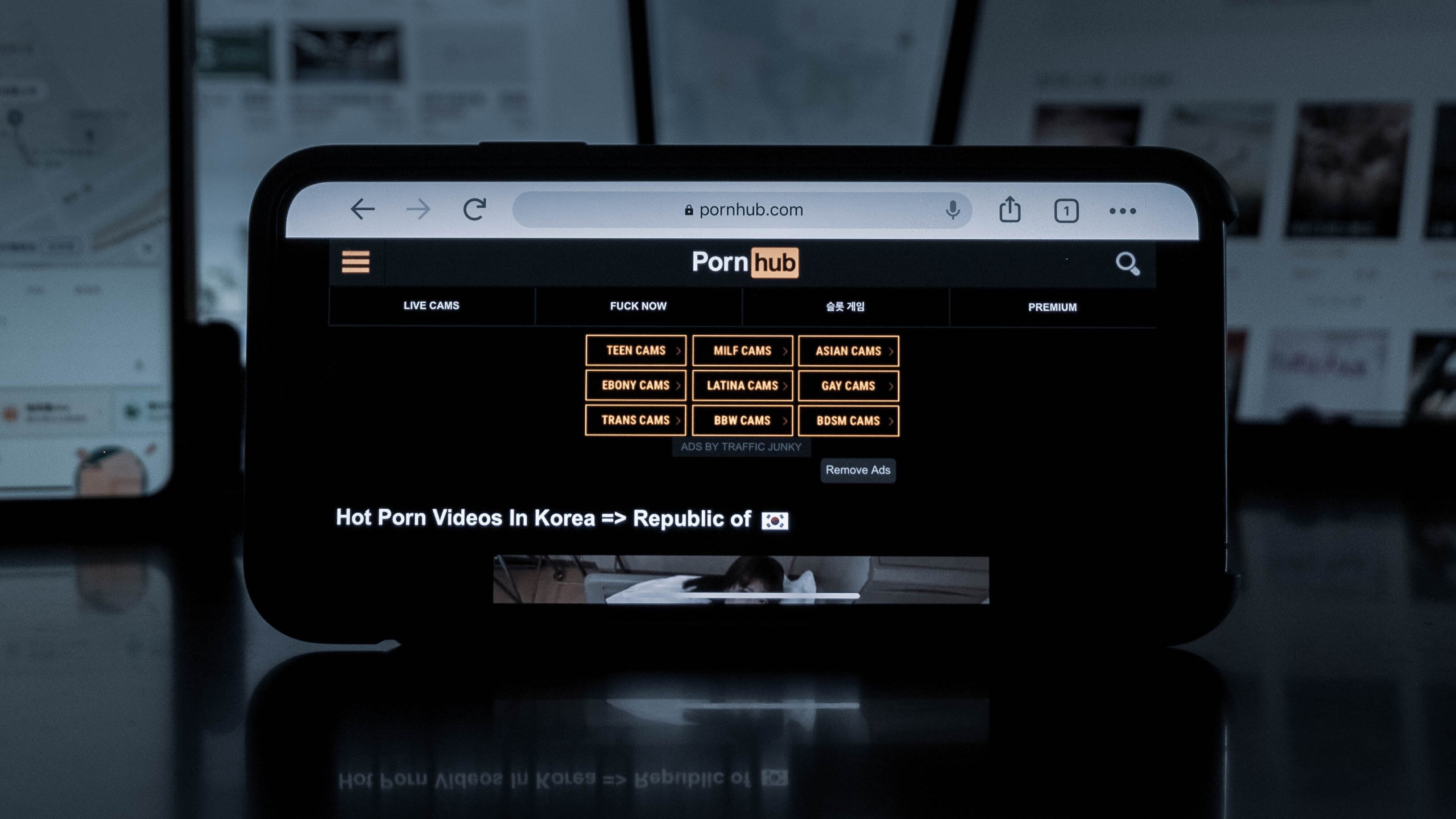 Stretta europea sul porno. "Proteggere i minorenni"