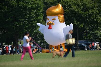 Ora il "Trumpollo" vuole fare i conti con Donald 7
