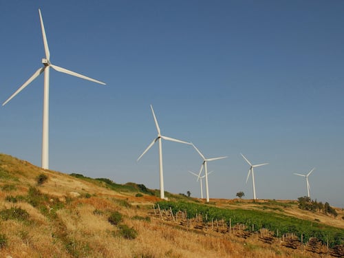 L'energia pulita sporca le vigne del Primitivo