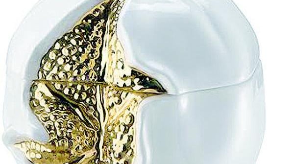 I 75 anni d'argento fatto sempre Dabbene