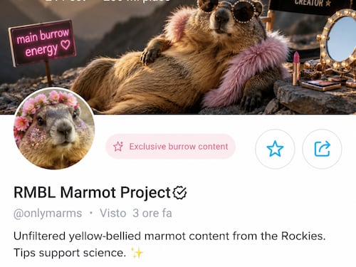 Le marmotte finiscono su OnlyFans per salvare la ricerca: idea fallimentare, gliene do un’altra