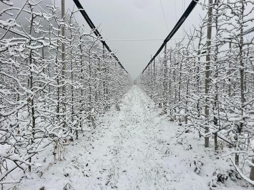 Neve, freddo e vento, si abbassa il vortice polare: cosa può succedere in Italia