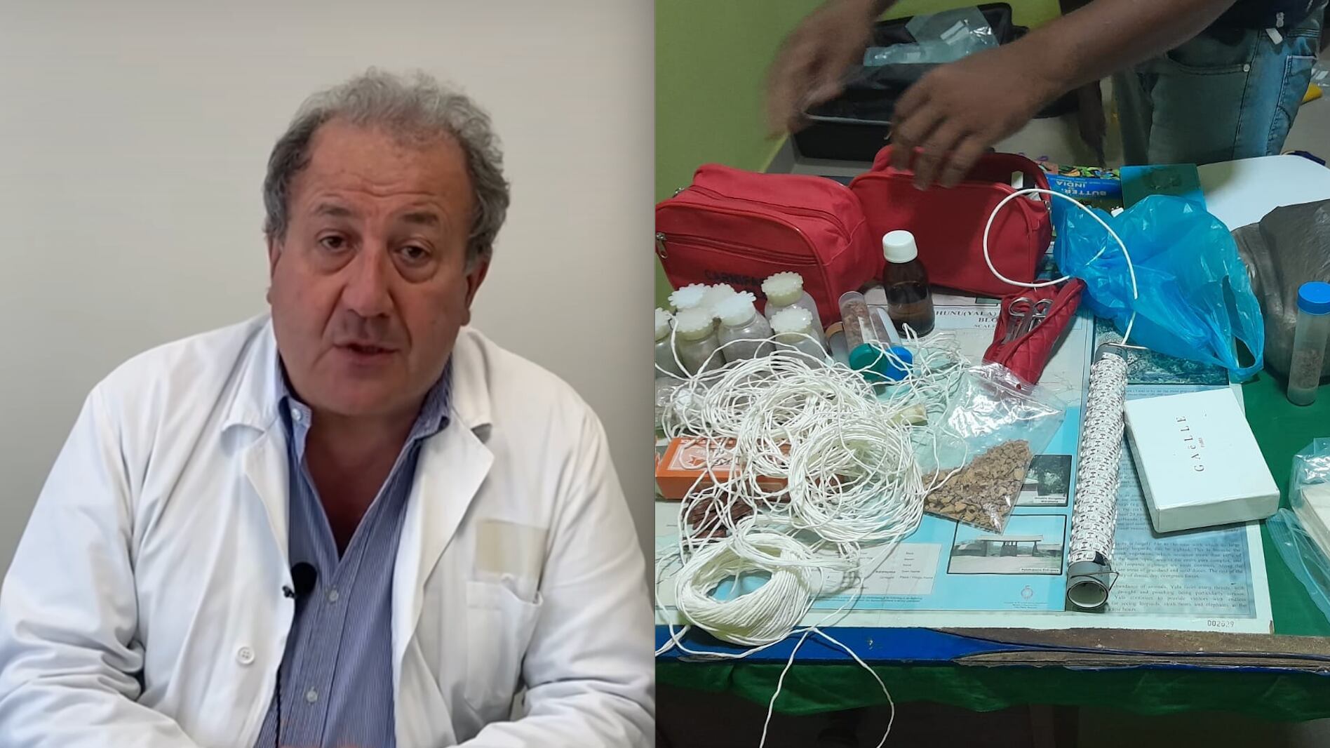 Contrabbando di farfalle: medico italiano rischia due anni di carcere in Sri Lanka
